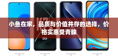 小魚在家，品質(zhì)與價值并存的選擇，價格實惠受青睞