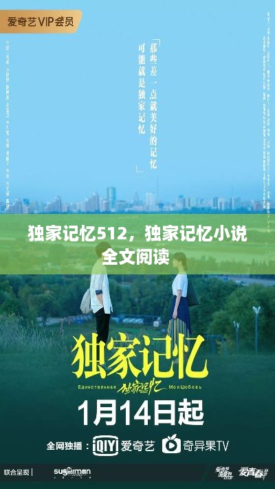 獨家記憶512，獨家記憶小說全文閱讀 
