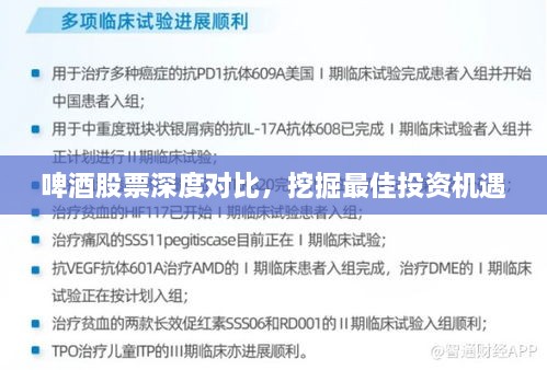 啤酒股票深度對比，挖掘最佳投資機遇