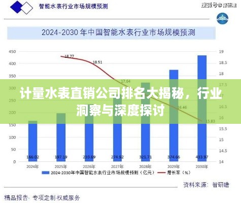 計量水表直銷公司排名大揭秘，行業(yè)洞察與深度探討
