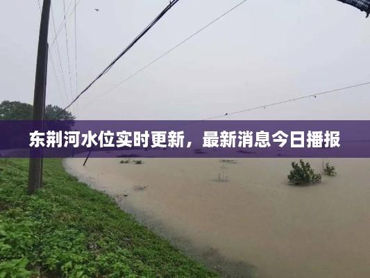東荊河水位實時更新，最新消息今日播報