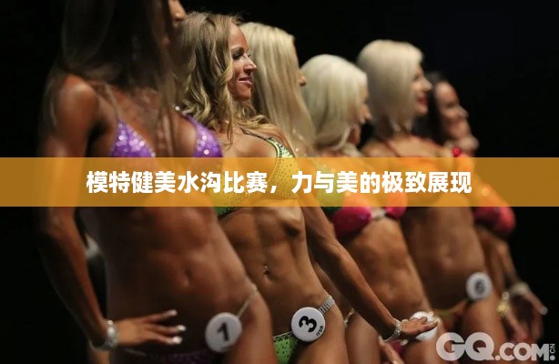 模特健美水溝比賽，力與美的極致展現(xiàn)