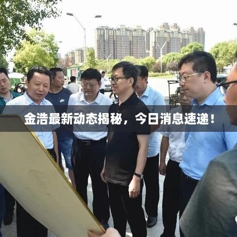 金浩最新動態(tài)揭秘，今日消息速遞！