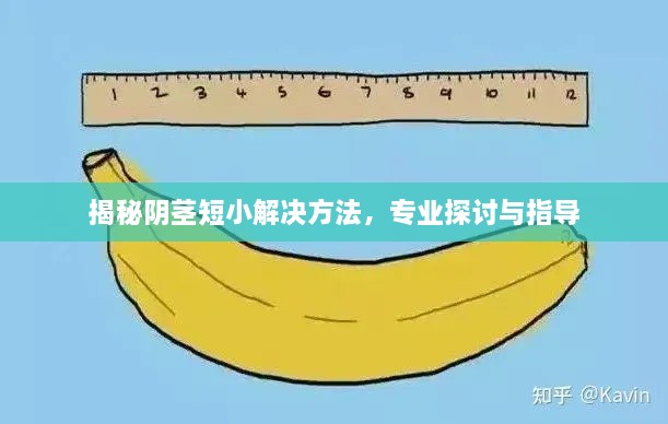 揭秘陰莖短小解決方法，專業(yè)探討與指導(dǎo)