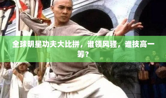 全球明星功夫大比拼，誰領(lǐng)風(fēng)騷，誰技高一籌？