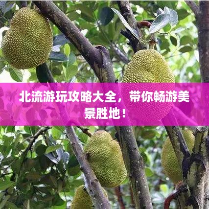北流游玩攻略大全，帶你暢游美景勝地！