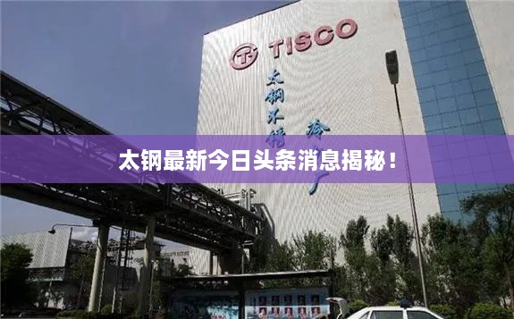太鋼最新今日頭條消息揭秘！