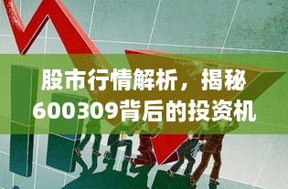 股市行情解析，揭秘600309背后的投資機(jī)會與挑戰(zhàn)