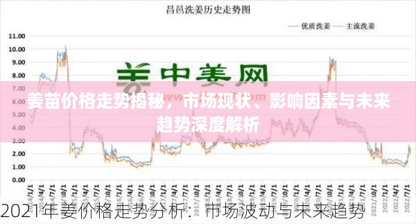 姜苗價格走勢揭秘，市場現(xiàn)狀、影響因素與未來趨勢深度解析