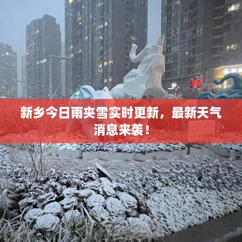 新鄉(xiāng)今日雨夾雪實(shí)時(shí)更新，最新天氣消息來襲！