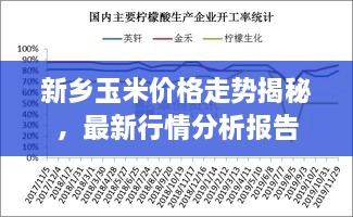 新鄉(xiāng)玉米價(jià)格走勢(shì)揭秘，最新行情分析報(bào)告