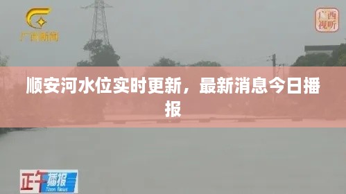 順安河水位實(shí)時(shí)更新，最新消息今日播報(bào)
