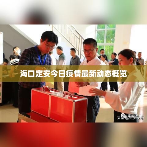 ?？诙ò步袢找咔樽钚聞?dòng)態(tài)概覽