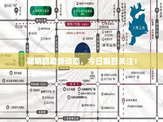 朝明路最新動(dòng)態(tài)，今日矚目關(guān)注！