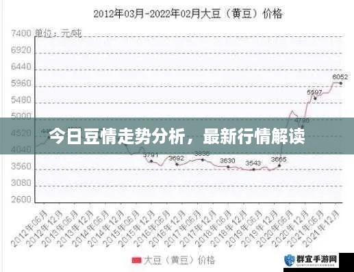 今日豆情走勢(shì)分析，最新行情解讀
