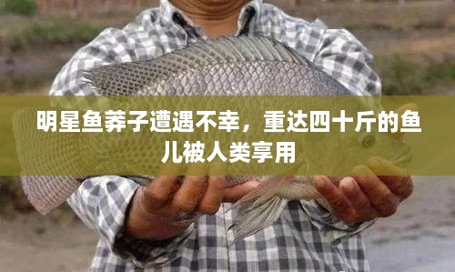 明星魚莽子遭遇不幸，重達(dá)四十斤的魚兒被人類享用