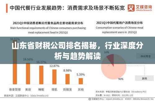 山東省財(cái)稅公司排名揭秘，行業(yè)深度分析與趨勢(shì)解讀