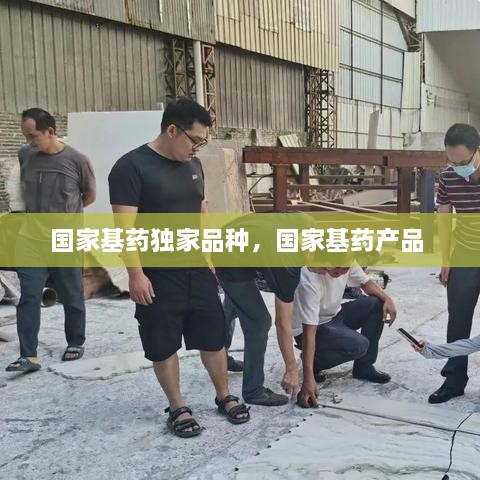 國家基藥獨家品種，國家基藥產(chǎn)品 