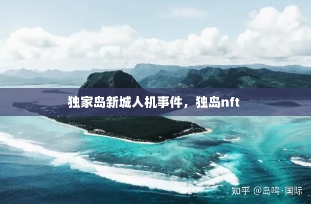 獨(dú)家島新城人機(jī)事件，獨(dú)島nft 