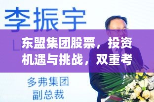 東盟集團股票，投資機遇與挑戰(zhàn)，雙重考量不容錯過