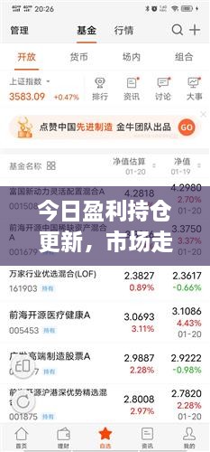 今日盈利持倉(cāng)更新，市場(chǎng)走勢(shì)深度分析與操作策略揭秘