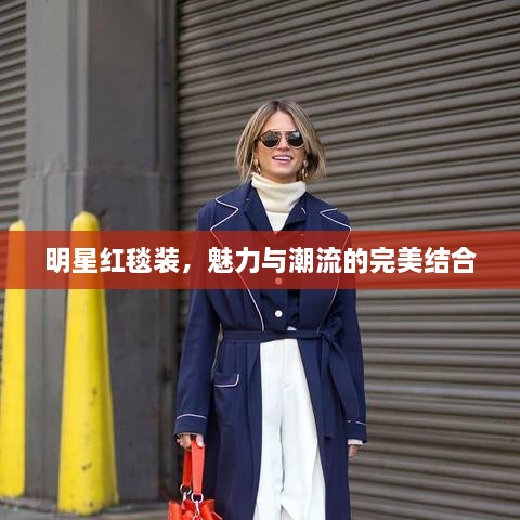 明星紅毯裝，魅力與潮流的完美結(jié)合