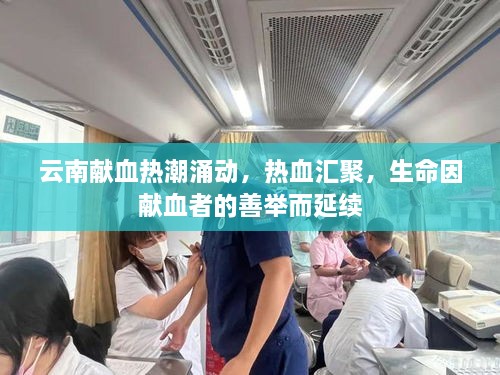 云南獻(xiàn)血熱潮涌動(dòng)，熱血匯聚，生命因獻(xiàn)血者的善舉而延續(xù)