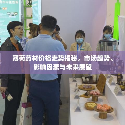 薄荷藥材價(jià)格走勢(shì)揭秘，市場(chǎng)趨勢(shì)、影響因素與未來(lái)展望