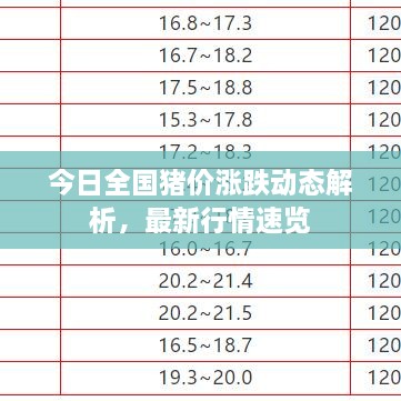 今日全國豬價(jià)漲跌動(dòng)態(tài)解析，最新行情速覽