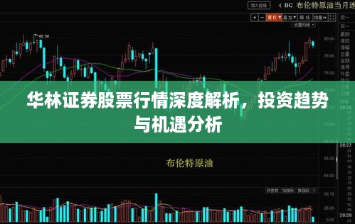 華林證券股票行情深度解析，投資趨勢與機遇分析