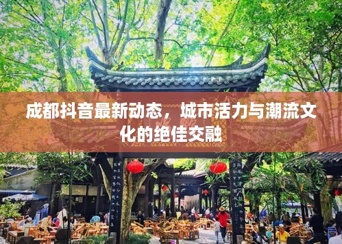 成都抖音最新動態(tài)，城市活力與潮流文化的絕佳交融