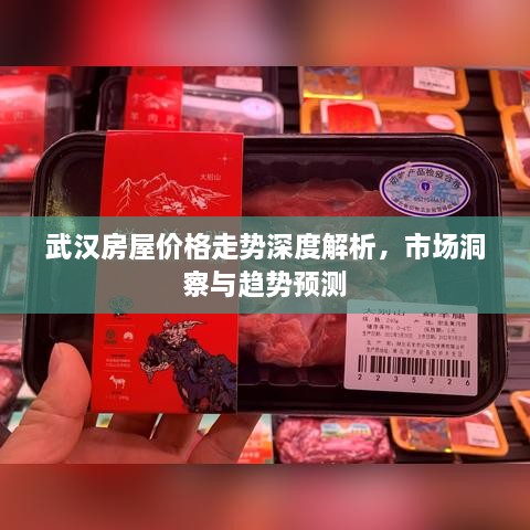 武漢房屋價格走勢深度解析，市場洞察與趨勢預(yù)測