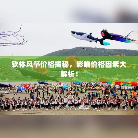 軟體風(fēng)箏價格揭秘，影響價格因素大解析！