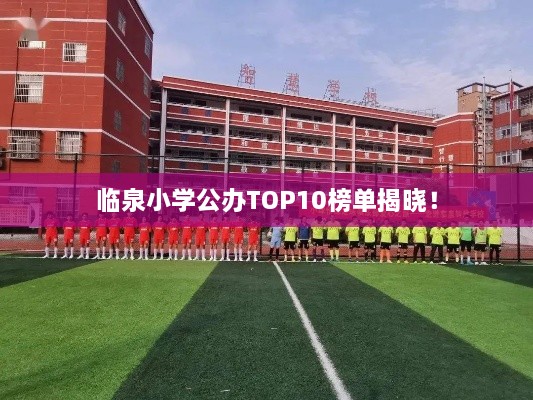 臨泉小學(xué)公辦TOP10榜單揭曉！