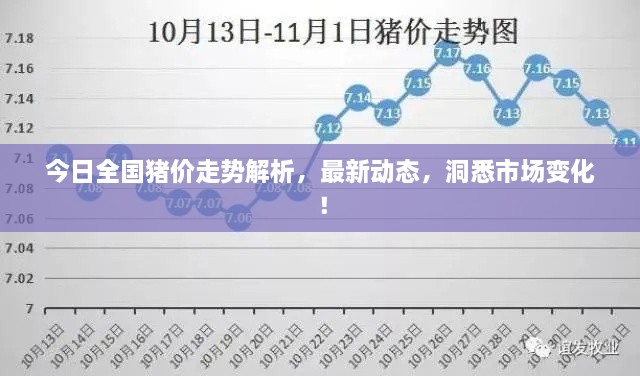 今日全國豬價(jià)走勢解析，最新動(dòng)態(tài)，洞悉市場變化！