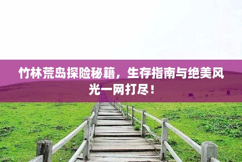 竹林荒島探險(xiǎn)秘籍，生存指南與絕美風(fēng)光一網(wǎng)打盡！
