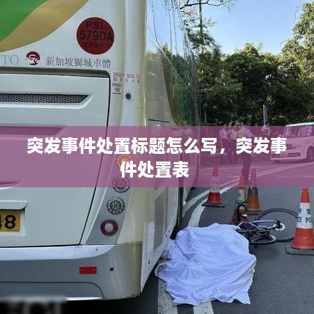 突發(fā)事件處置標(biāo)題怎么寫，突發(fā)事件處置表 