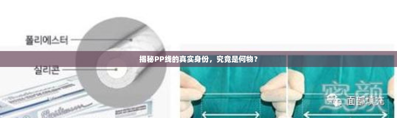揭秘PP線的真實(shí)身份，究竟是何物？