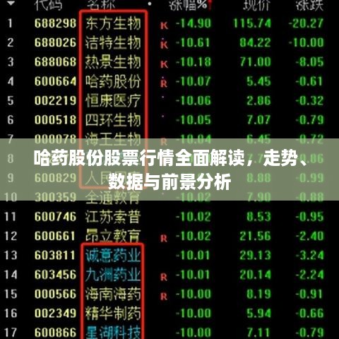 哈藥股份股票行情全面解讀，走勢、數(shù)據(jù)與前景分析