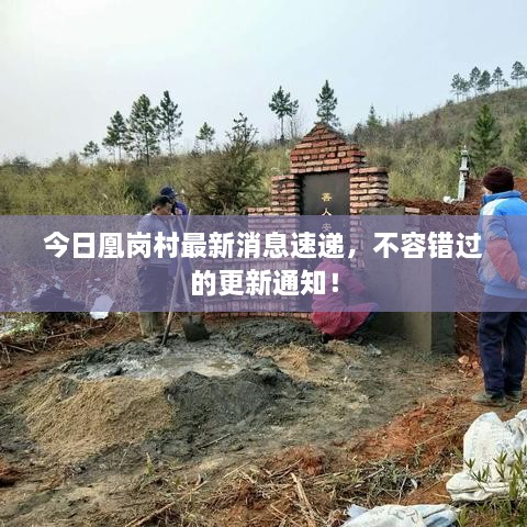 今日凰崗村最新消息速遞，不容錯(cuò)過(guò)的更新通知！