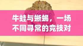 牛蛙與蜥蜴，一場(chǎng)不同尋常的競(jìng)技對(duì)決