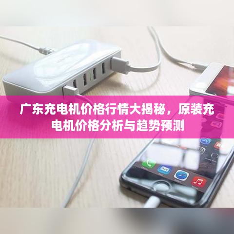 廣東充電機(jī)價(jià)格行情大揭秘，原裝充電機(jī)價(jià)格分析與趨勢(shì)預(yù)測(cè)