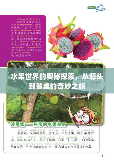水果世界的奧秘探索，從源頭到餐桌的奇妙之旅