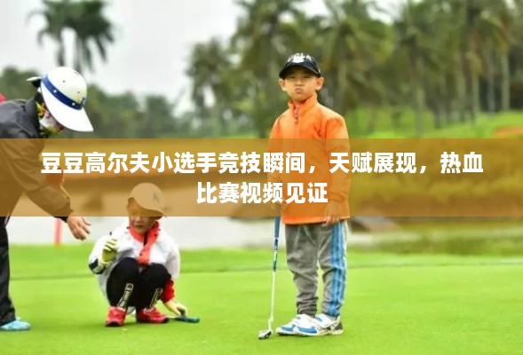 豆豆高爾夫小選手競技瞬間，天賦展現(xiàn)，熱血比賽視頻見證