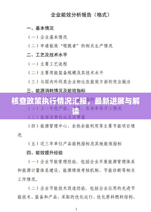 核查政策執(zhí)行情況匯報(bào)，最新進(jìn)展與解讀