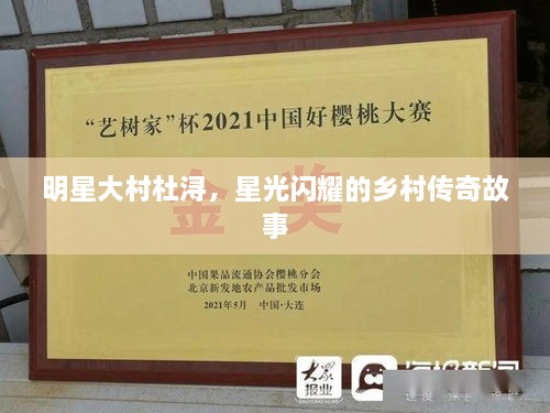 明星大村杜潯，星光閃耀的鄉(xiāng)村傳奇故事