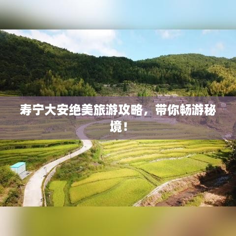 壽寧大安絕美旅游攻略，帶你暢游秘境！