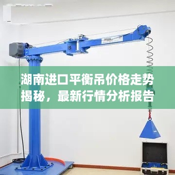 湖南進(jìn)口平衡吊價格走勢揭秘，最新行情分析報告！
