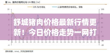 舒城豬肉價格最新行情更新！今日價格走勢一網(wǎng)打盡