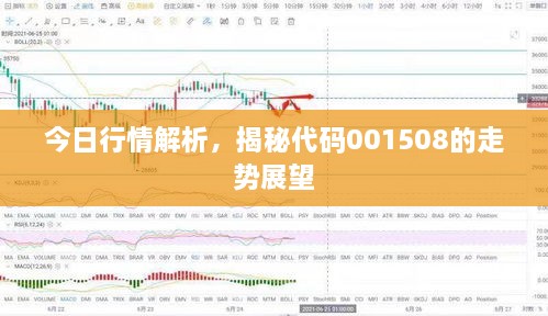 今日行情解析，揭秘代碼001508的走勢展望